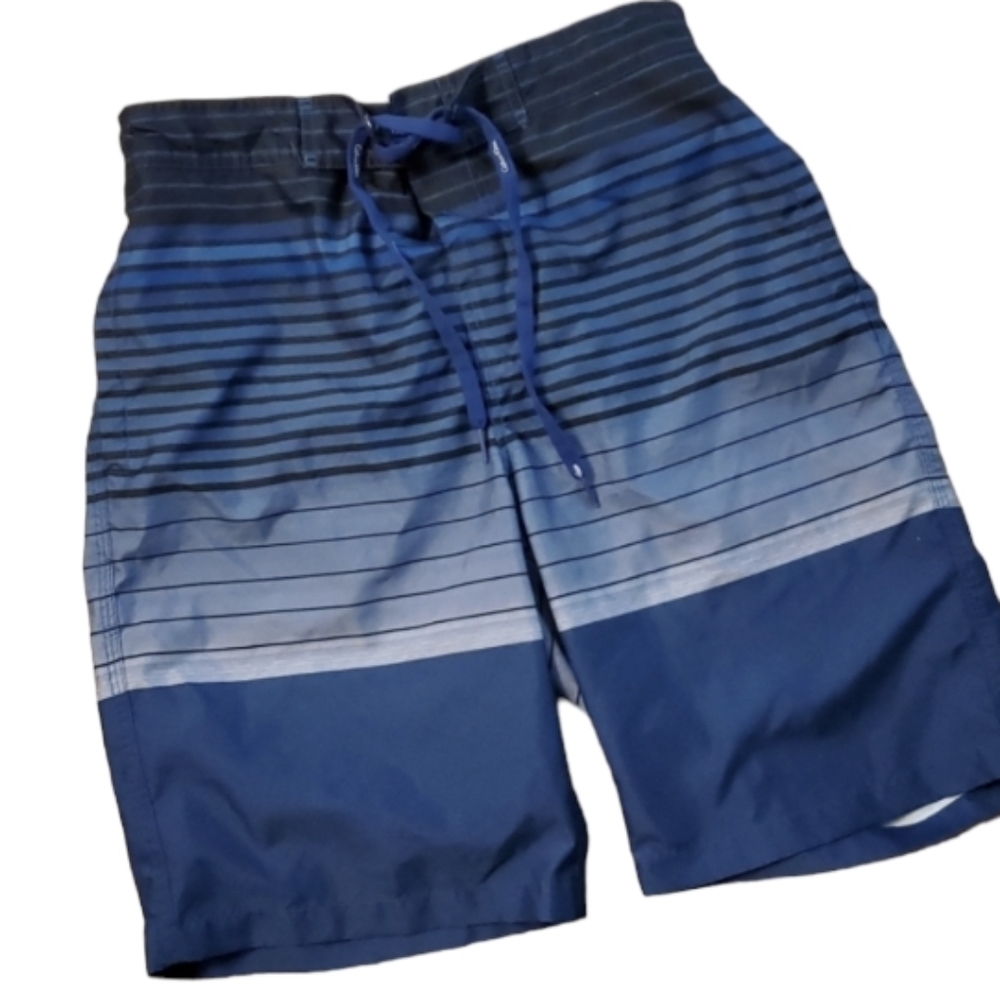 Calvin Klein Mens Ombre Blue Gray Striped Swim Trunks Size Small